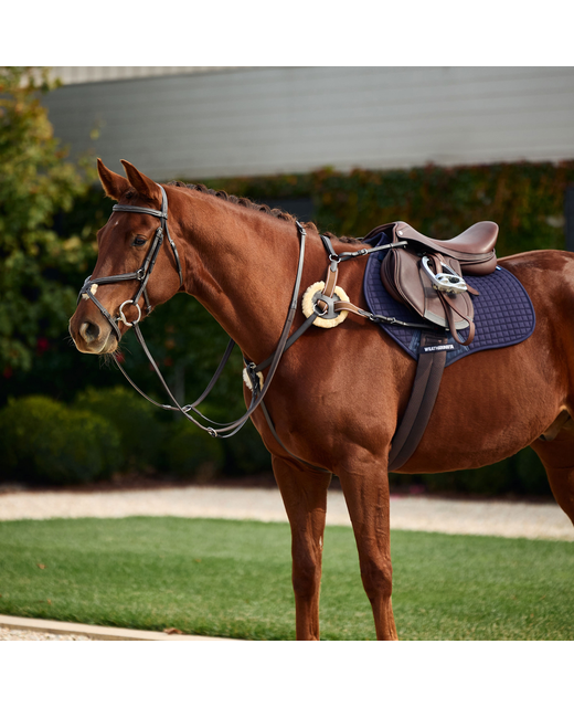 Dublin 5 Point Event Breastplate