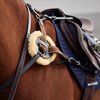 Dublin 5 Point Event Breastplate
