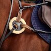 Dublin 5 Point Event Breastplate
