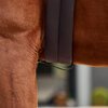 Dublin 5 Point Event Breastplate