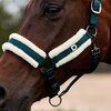 Dublin Soft Fit Headcollar