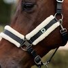 Dublin Soft Fit Headcollar