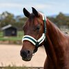 Dublin Soft Fit Headcollar