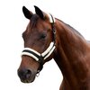 Dublin Soft Fit Headcollar