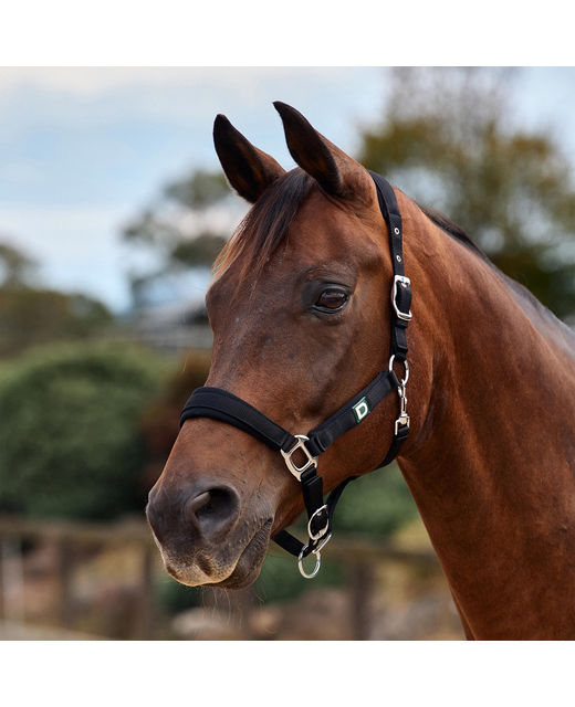 Dublin Neo Comfort Headcollar 