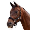 Dublin Neo Comfort Headcollar 