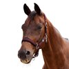 Dublin Neo Comfort Headcollar 