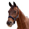 Dublin Neo Comfort Headcollar 