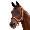 Dublin Neo Comfort Headcollar 