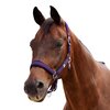 Dublin Neo Comfort Headcollar 