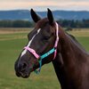 Dublin Everyday Headcollar