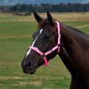 Dublin Everyday Headcollar