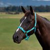Dublin Everyday Headcollar
