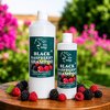 Eco Horse Black Raspberr Shampoo 