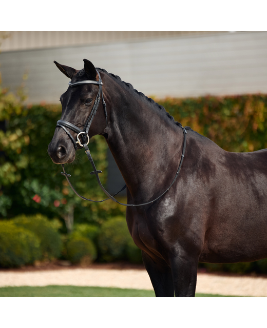 Dublin Crystal Flash Bridle