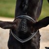 Dublin Crystal Flash Bridle