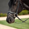 Dublin Crystal Flash Bridle