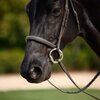 Dublin Padded Fancy Stitched Hunt Bridle 