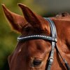 Dublin Mono Crown Patent Flash Bridle