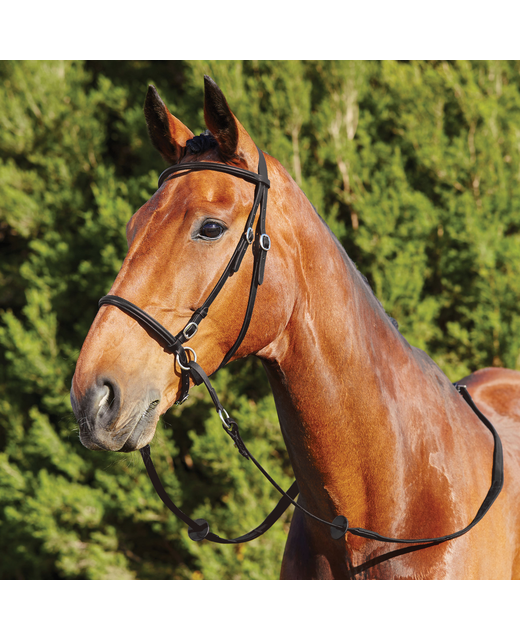 Dublin Leather Bitless Bridle