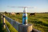 Hippo Health Abcess Plus 90ml