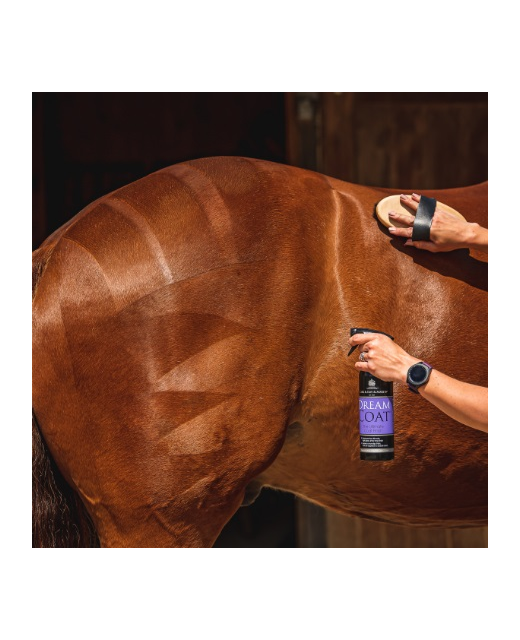 Carr Day Martin Dream Coat 500ml