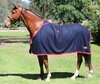Zilco Stadium Wool Dress Rug 