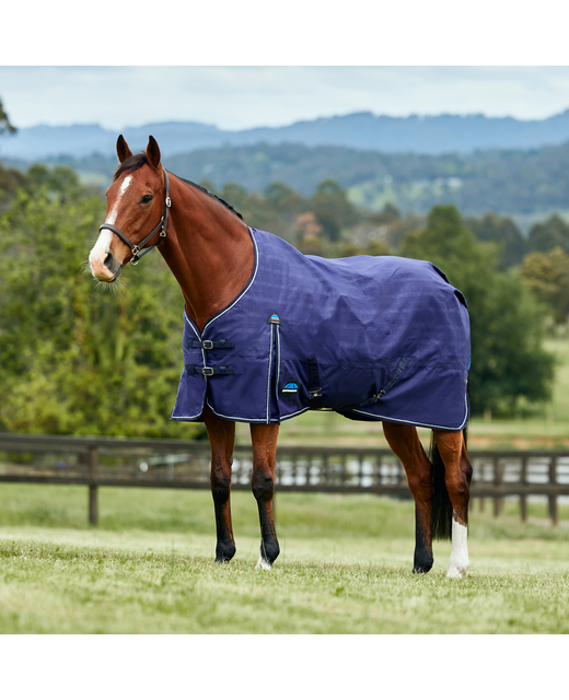 Weatherbeeta Prelim Turnout 100gram Standard 