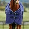 Weatherbeeta Prelim Turnout 100gram Standard 