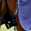 Weatherbeeta Prelim Turnout 100gram Standard 