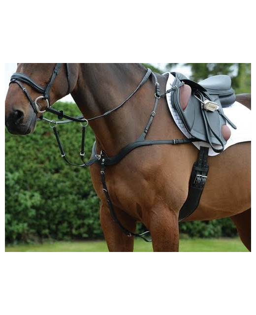 Collegiate Comfitec 5 Point Breastplate