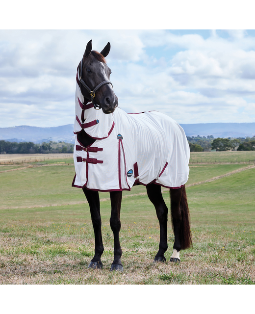 Weatherbeeta ComFitec Essential Fly Sheet Combo