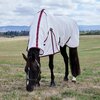 Weatherbeeta ComFitec Essential Fly Sheet Combo