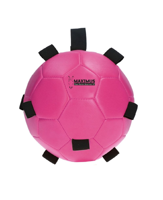 Maximus Fun Play Balls