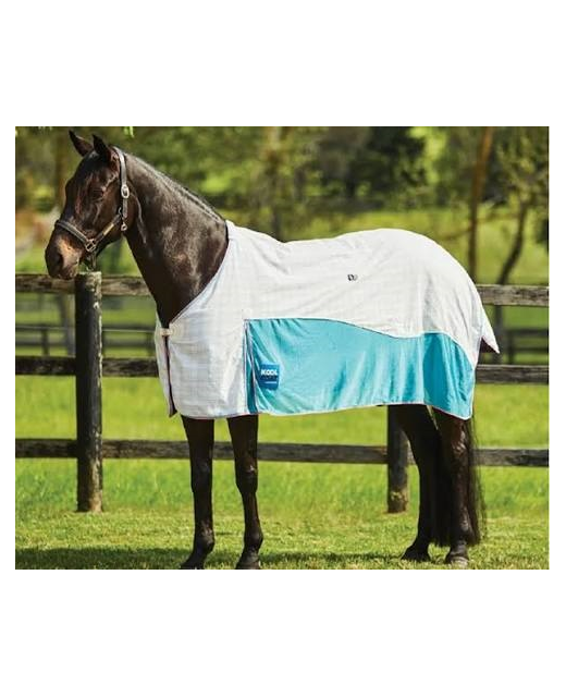 Kool Coat Airstream Rug Only 