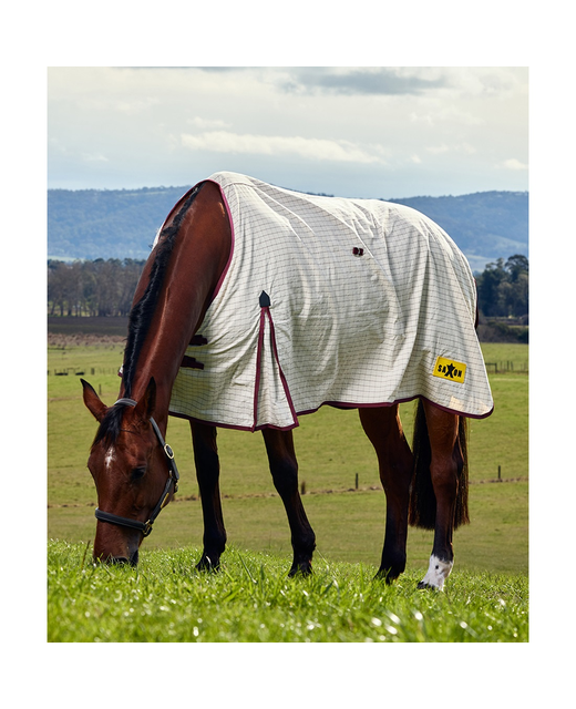 Saxon Kool Coat Cotton Sheet Standard