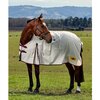 Saxon Kool Coat Cotton Sheet Standard