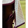 Saxon Kool Coat Cotton Sheet Standard