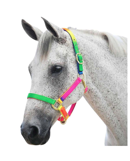 RM Rainbow Head Collar