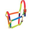 RM Rainbow Head Collar