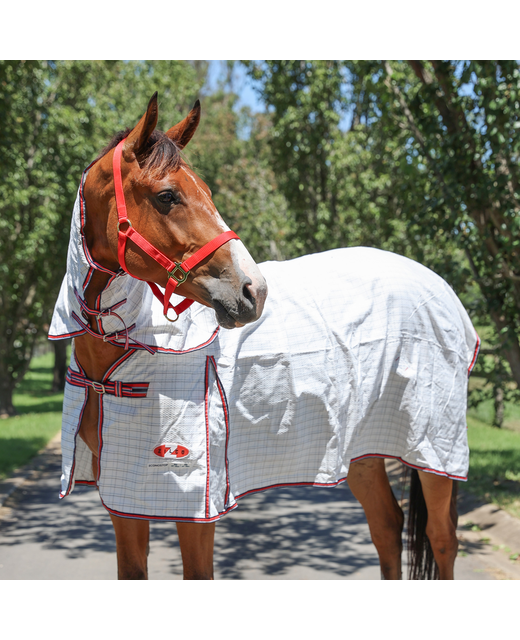 Combo Econostop Zilco Horse RugsSpring & Summer Rugs Richmond