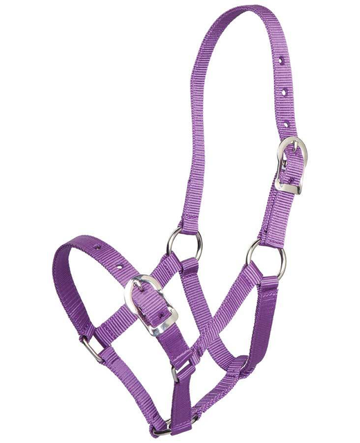 Halter-3/4"  Small Pony