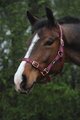 Saxon Nylon Brass Webbing Halter 