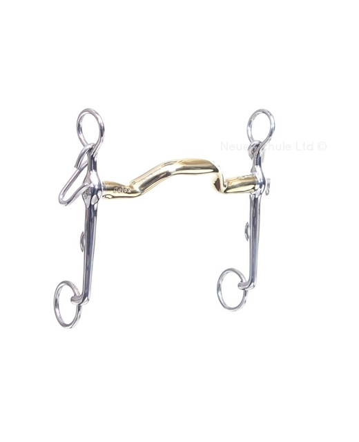 Neue Schule 8028 Warmblood Weymouth 