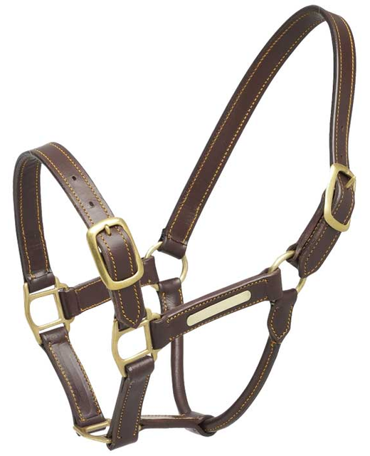 Aintree Leather Halter With Brass Name Plate 
