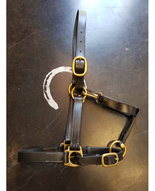 Eventor Ana Leather Halter 