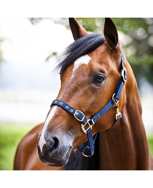 NEW Nylon Open Nose Halter