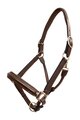 Platinum Raised Padded Leather Halter With Name Plates