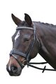 Kincade Silver Chain Bridle