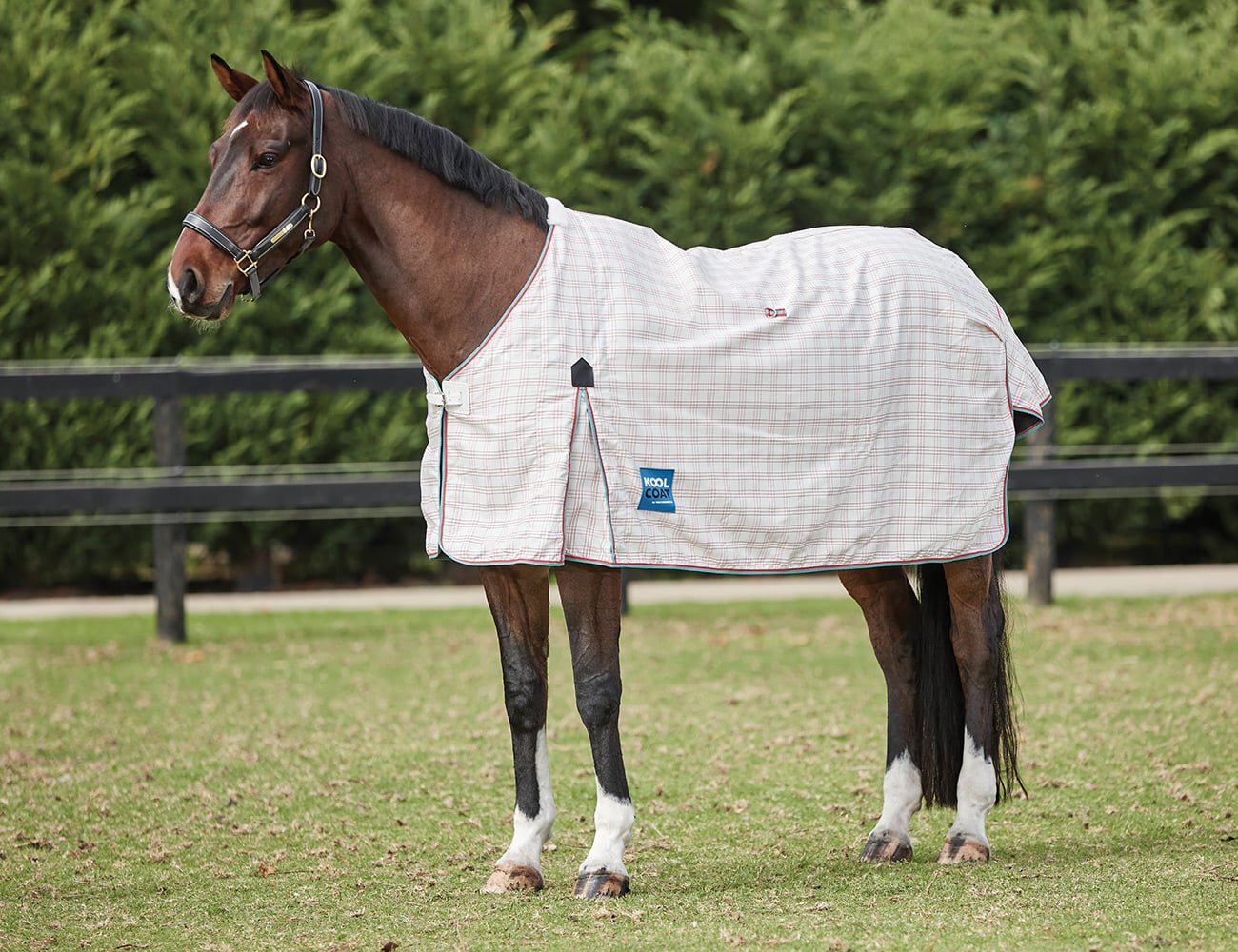 Kool Coat Cotton Standard Neck Horse RugsCotton Summer Richmond